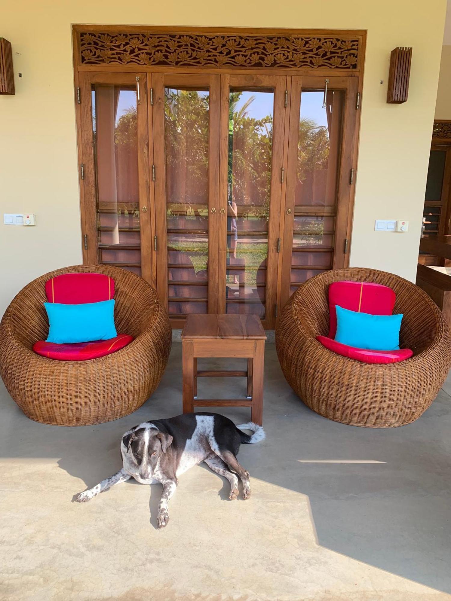 Wild Lotus Yala Villa Tissamaharama Bagian luar foto